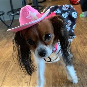 Meet your Posher, Madison